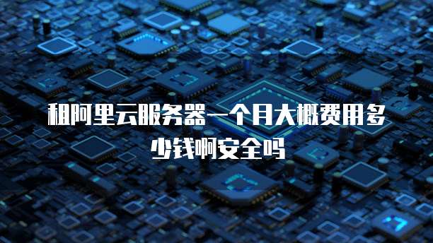 租阿里云服务器一个月大概费用多少钱啊安全吗