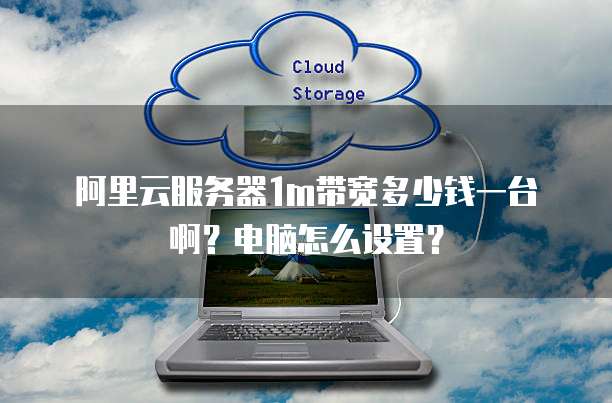 阿里云服务器1m带宽多少钱一台啊？电脑怎么设置？