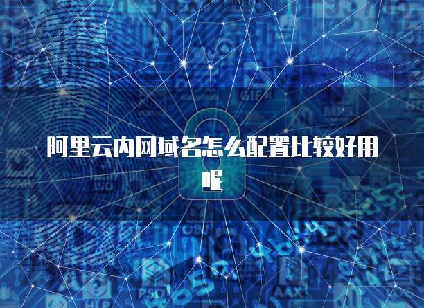 阿里云内网域名怎么配置比较好用呢