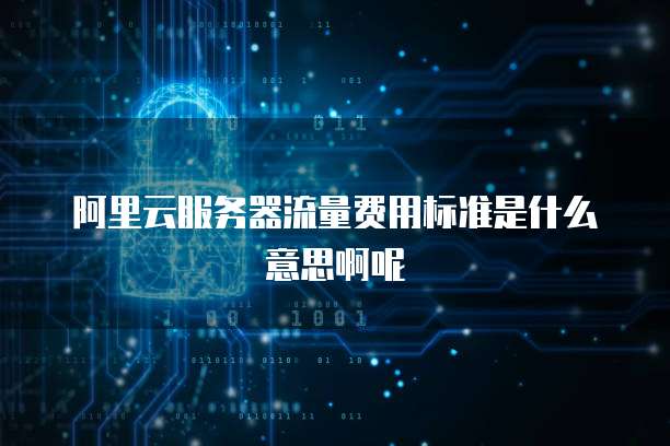 阿里云服务器流量费用标准是什么意思啊呢