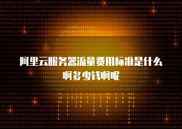 阿里云服务器流量费用标准是什么啊多少钱啊呢