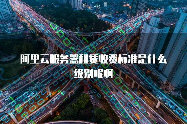 阿里云服务器租赁收费标准是什么级别呢啊