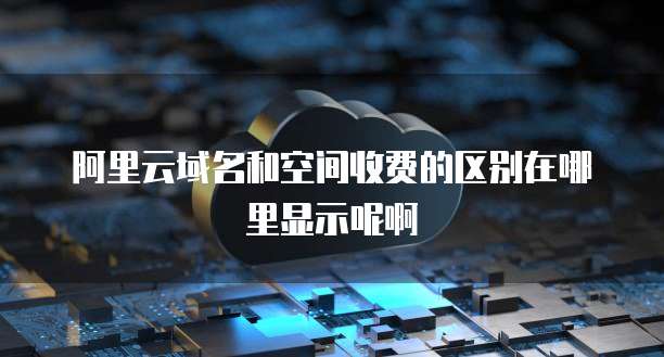 阿里云域名和空间收费的区别在哪里显示呢啊