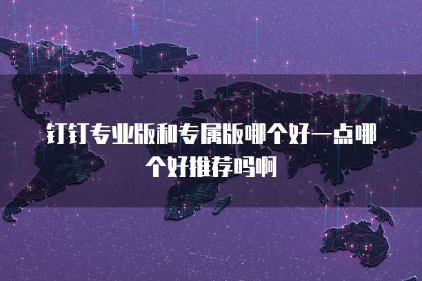 钉钉专业版和专属版哪个好一点哪个好推荐吗啊