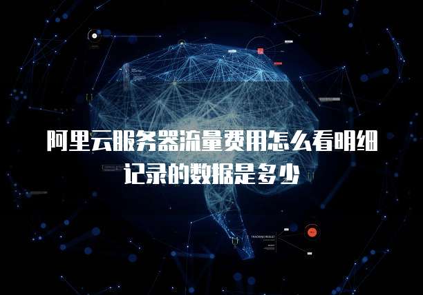 阿里云服务器流量费用怎么看明细记录的数据是多少