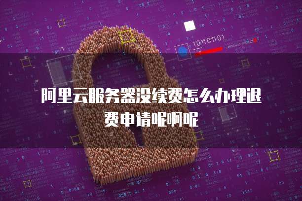 阿里云服务器没续费怎么办理退费申请呢啊呢