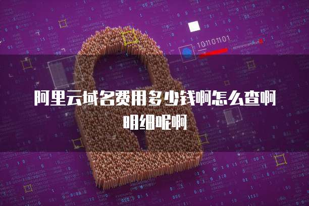 阿里云域名费用多少钱啊怎么查啊明细呢啊