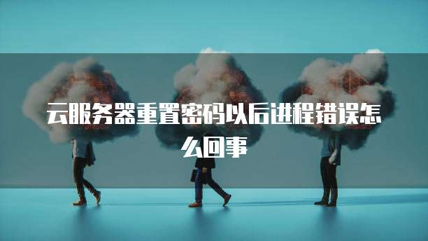 云服务器重置密码以后进程错误怎么回事
