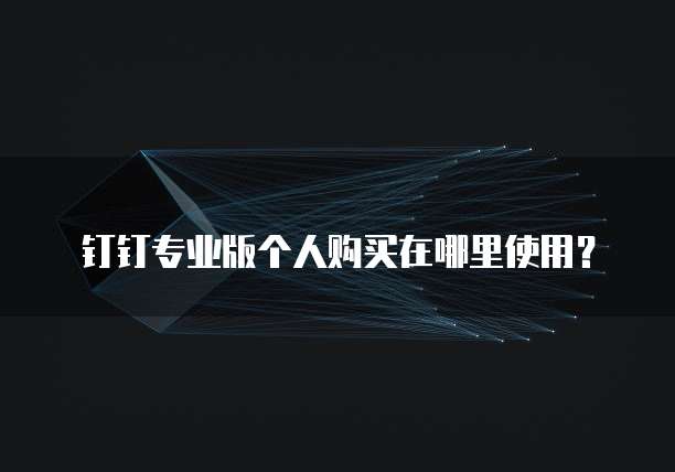 钉钉专业版个人购买在哪里使用?