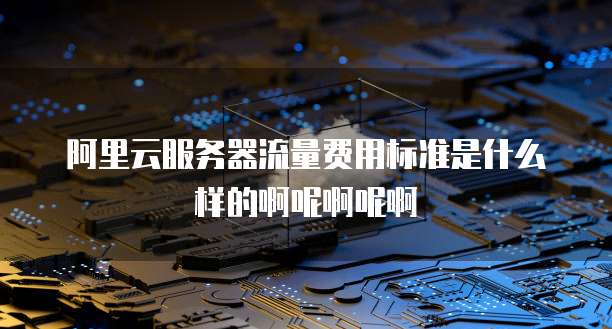 阿里云服务器流量费用标准是什么样的啊呢啊呢啊