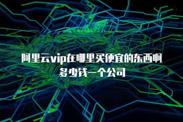 阿里云vip在哪里买便宜的东西啊多少钱一个公司