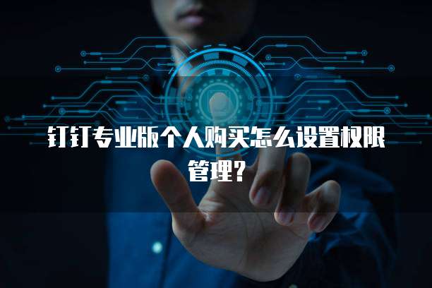 钉钉专业版个人购买怎么设置权限管理?