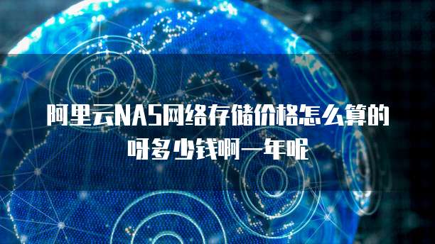 阿里云NAS网络存储价格怎么算的呀多少钱啊一年呢
