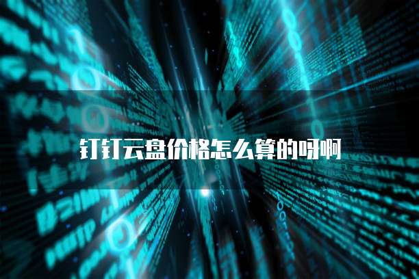 钉钉云盘价格怎么算的呀啊