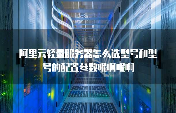 阿里云轻量服务器怎么选型号和型号的配置参数呢啊呢啊