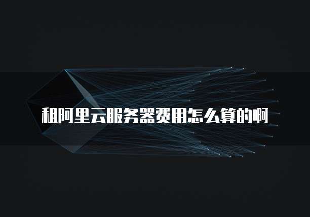 租阿里云服务器费用怎么算的啊
