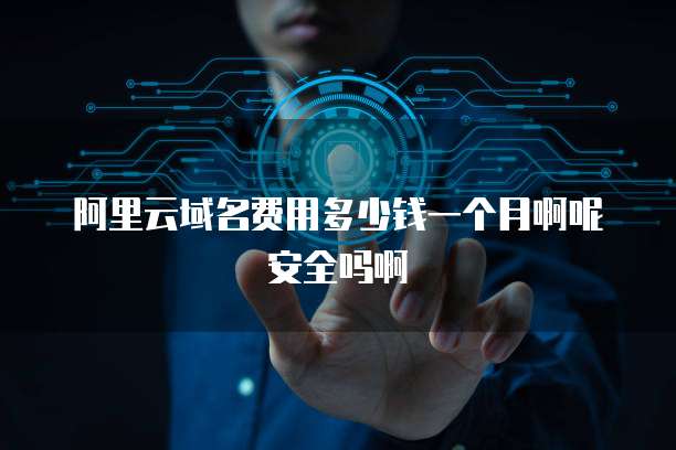 阿里云域名费用多少钱一个月啊呢安全吗啊