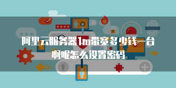 阿里云服务器1m带宽多少钱一台啊呢怎么设置密码