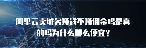 阿里云卖域名赚钱不赚佣金吗是真的吗为什么那么便宜?