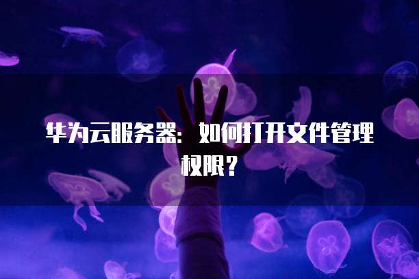 阿里云服务器查看流量