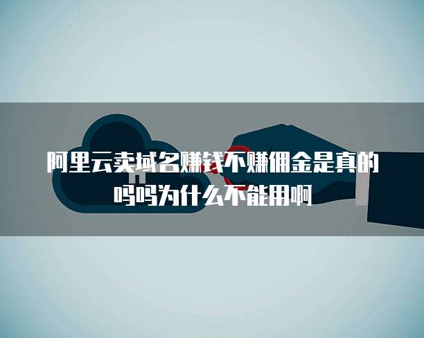 阿里云卖域名赚钱不赚佣金是真的吗吗为什么不能用啊