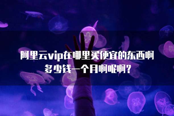 阿里云vip在哪里买便宜的东西啊多少钱一个月啊呢啊?