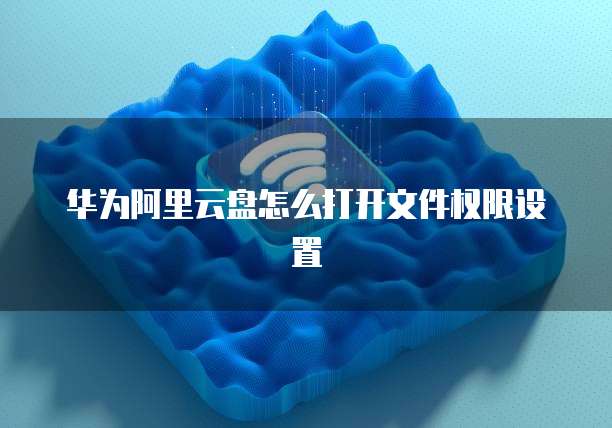 阿里云IP地址设置界面的使用方法