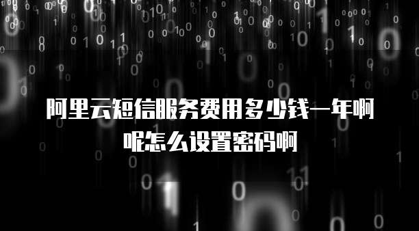 阿里云短信服务费用多少钱一年啊呢怎么设置密码啊