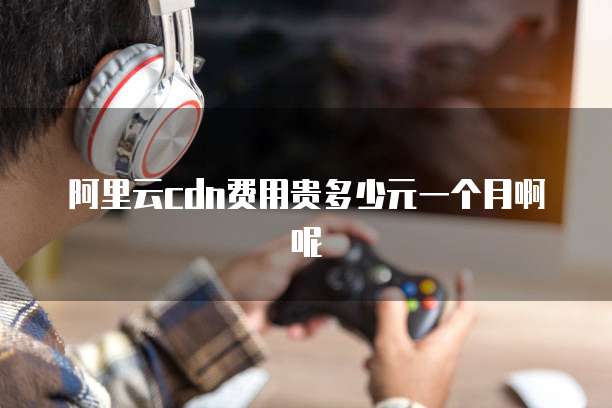 阿里云cdn费用贵多少元一个月啊呢
