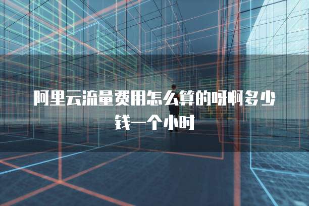 阿里云流量费用怎么算的呀啊多少钱一个小时