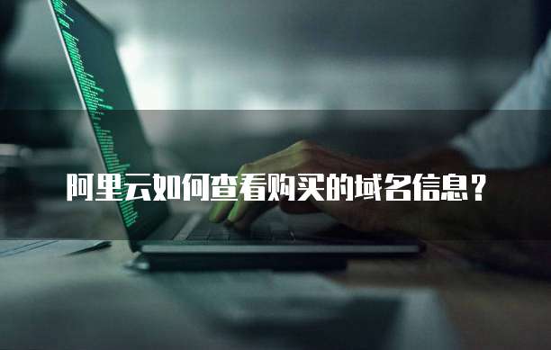 阿里云如何查看购买的域名信息?
