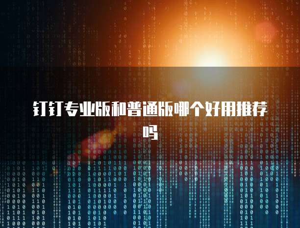 钉钉专业版和普通版哪个好用推荐吗