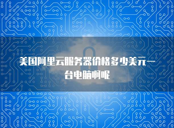 美国阿里云服务器价格多少美元一台电脑啊呢