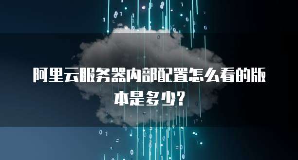 阿里云服务器内部配置怎么看的版本是多少?