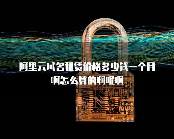 阿里云域名租赁价格多少钱一个月啊怎么算的啊呢啊