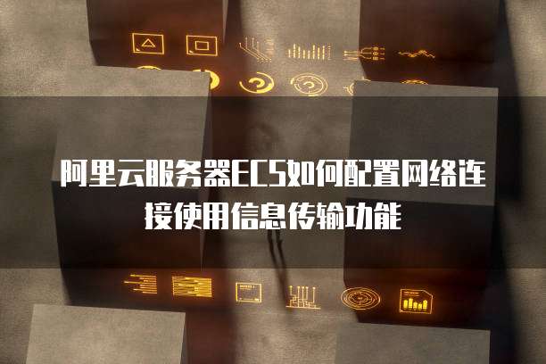 阿里云服务器ECS如何配置网络连接使用信息传输功能