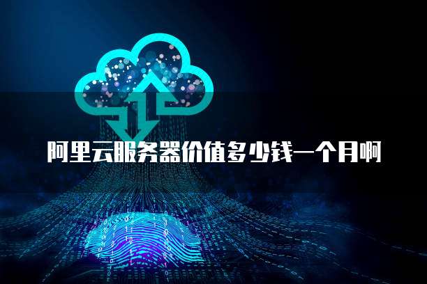 阿里云服务器价值多少钱一个月啊