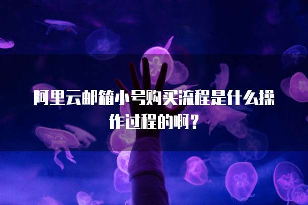 阿里云邮箱小号购买流程是什么操作过程的啊？
