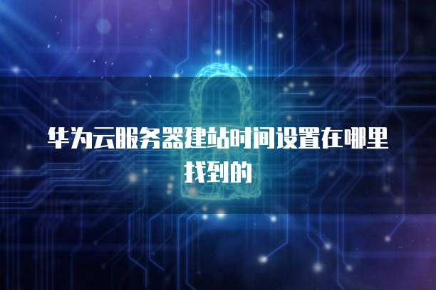 如何查看阿里云购买的服务器的域名信息
