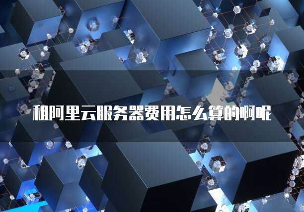租阿里云服务器费用怎么算的啊呢