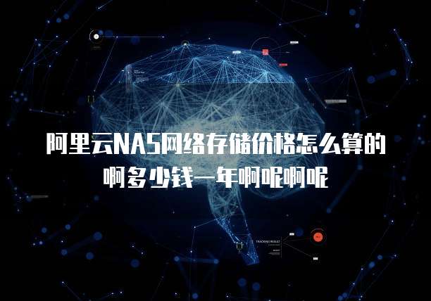 阿里云NAS网络存储价格怎么算的啊多少钱一年啊呢啊呢