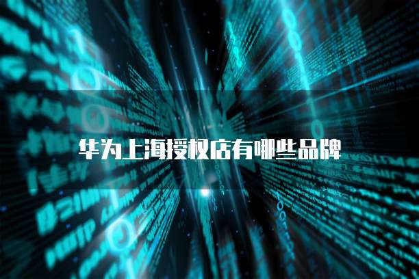 阿里云买的服务器在哪里看到信息内容?