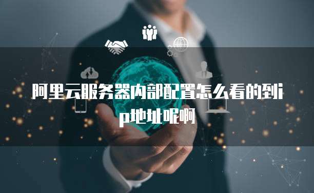 阿里云服务器内部配置怎么看的到ip地址呢啊