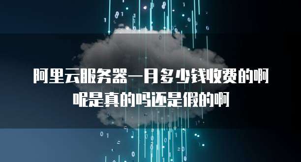 阿里云服务器一月多少钱收费的啊呢是真的吗还是假的啊