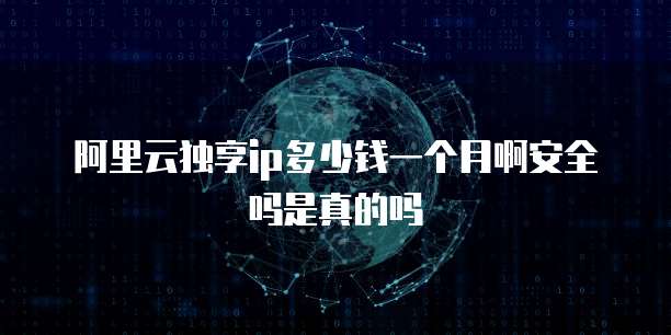 阿里云独享ip多少钱一个月啊安全吗是真的吗