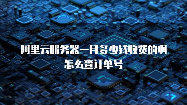 阿里云服务器一月多少钱收费的啊怎么查订单号