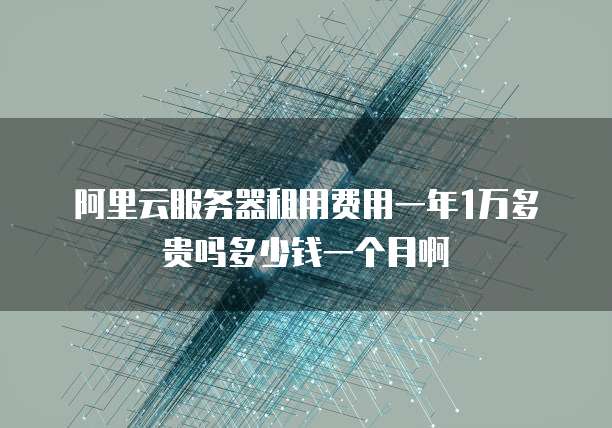 阿里云服务器租用费用一年1万多贵吗多少钱一个月啊