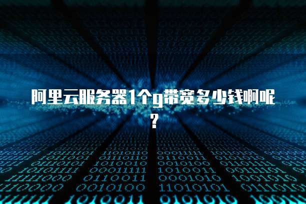 阿里云服务器1个g带宽多少钱啊呢?