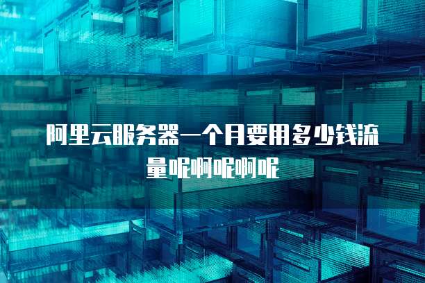 阿里云服务器一个月要用多少钱流量呢啊呢啊呢