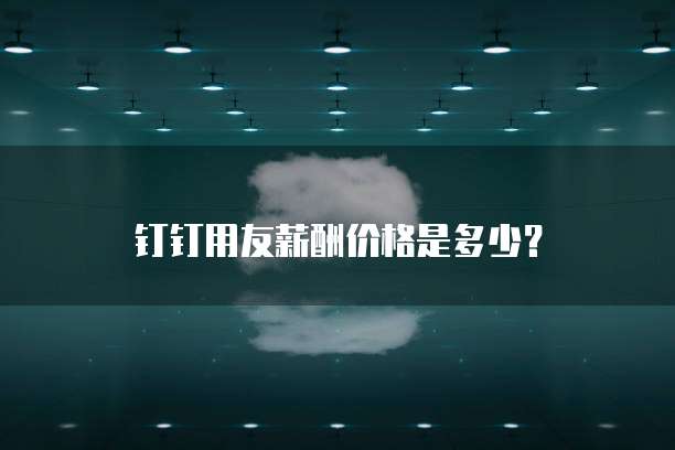 钉钉用友薪酬价格是多少?